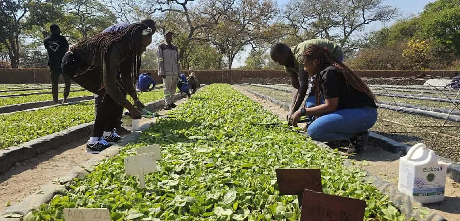 Management and stakeholder service delivery