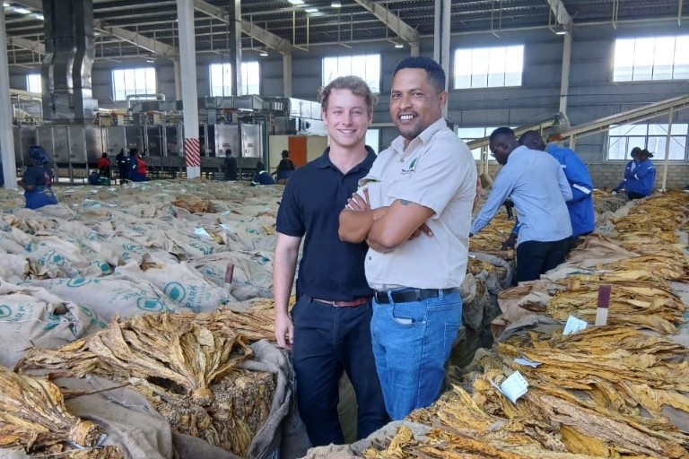 Team members on the tobacco sales floor